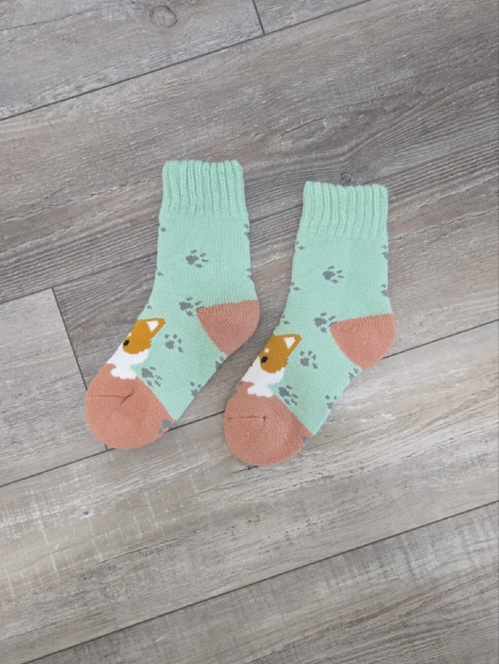 Mint Green & Shiba Inu Pattern Socks Japanese